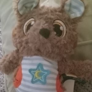 Sleepy Caps Small teddy bear wearing hoodie